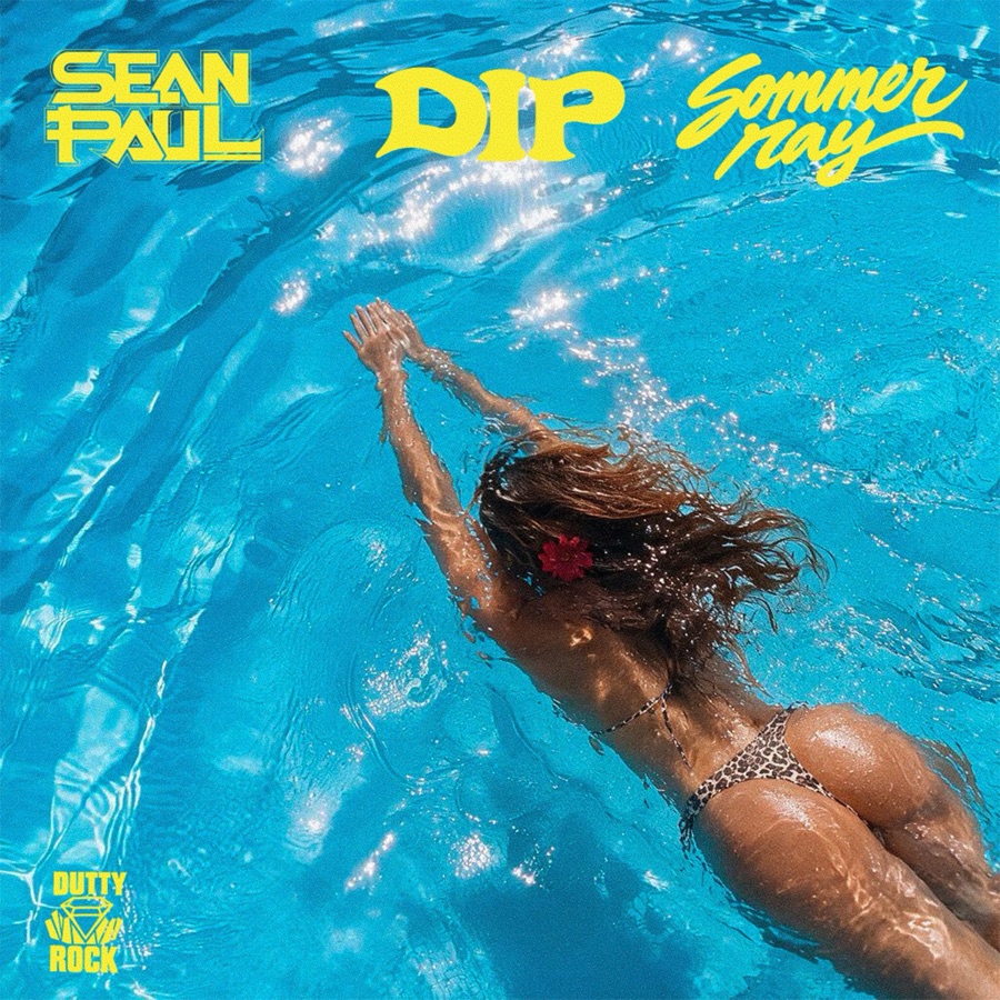 DIP artwork